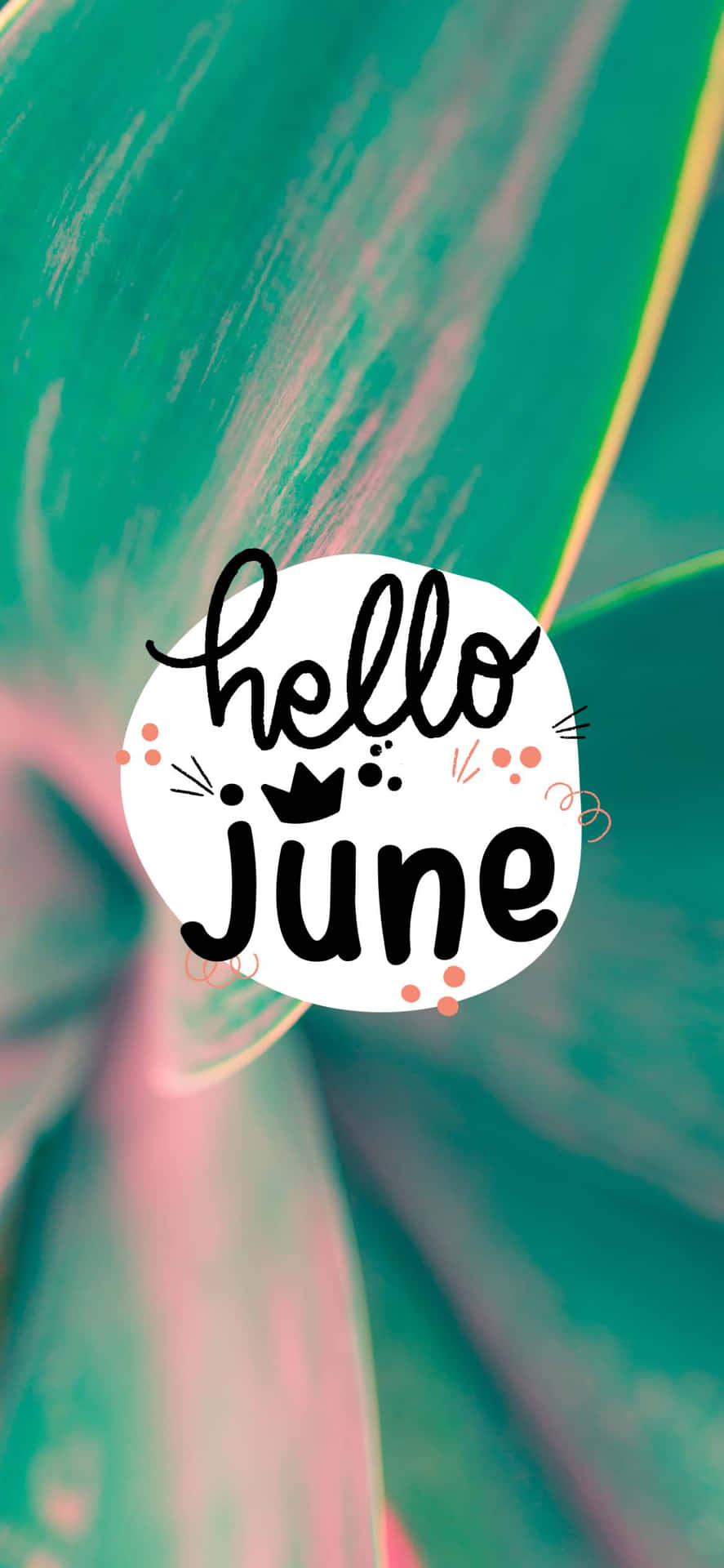 Welcoming June, Embrace The Sunshine Background