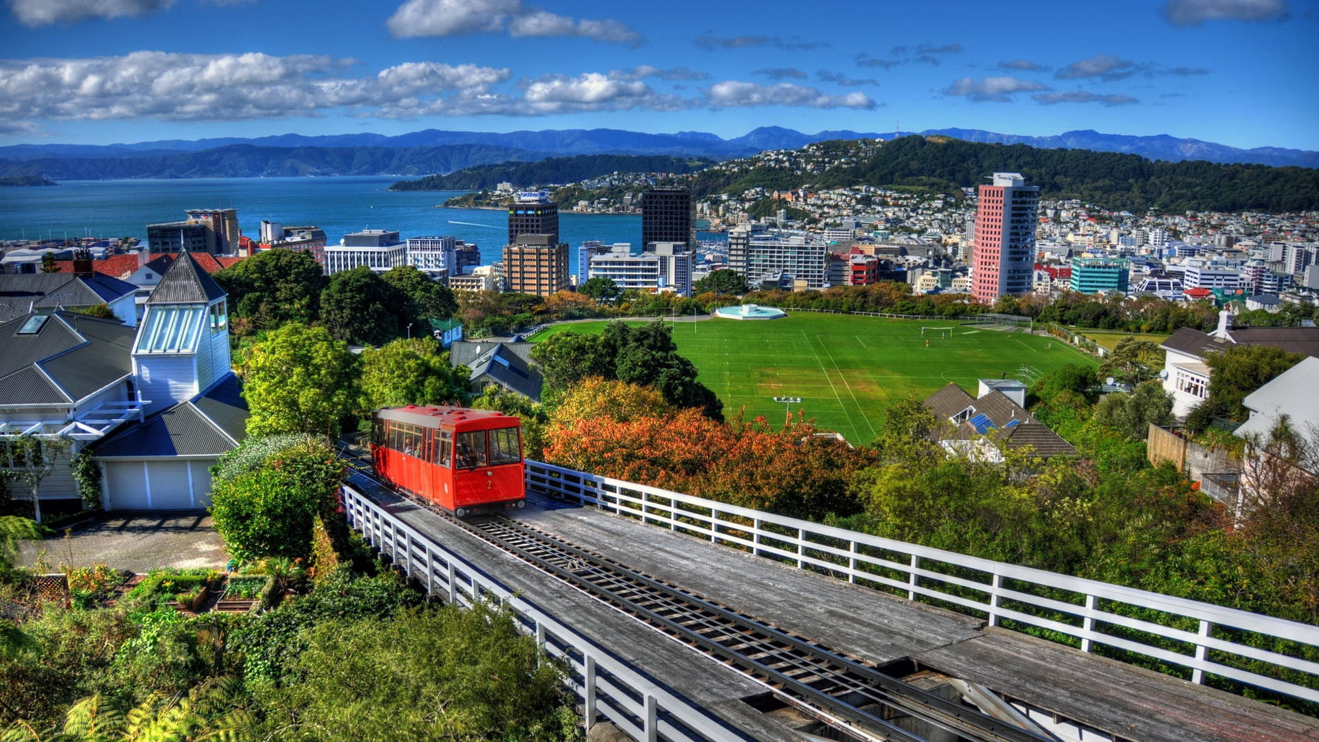 Wellington City New Zealand Background