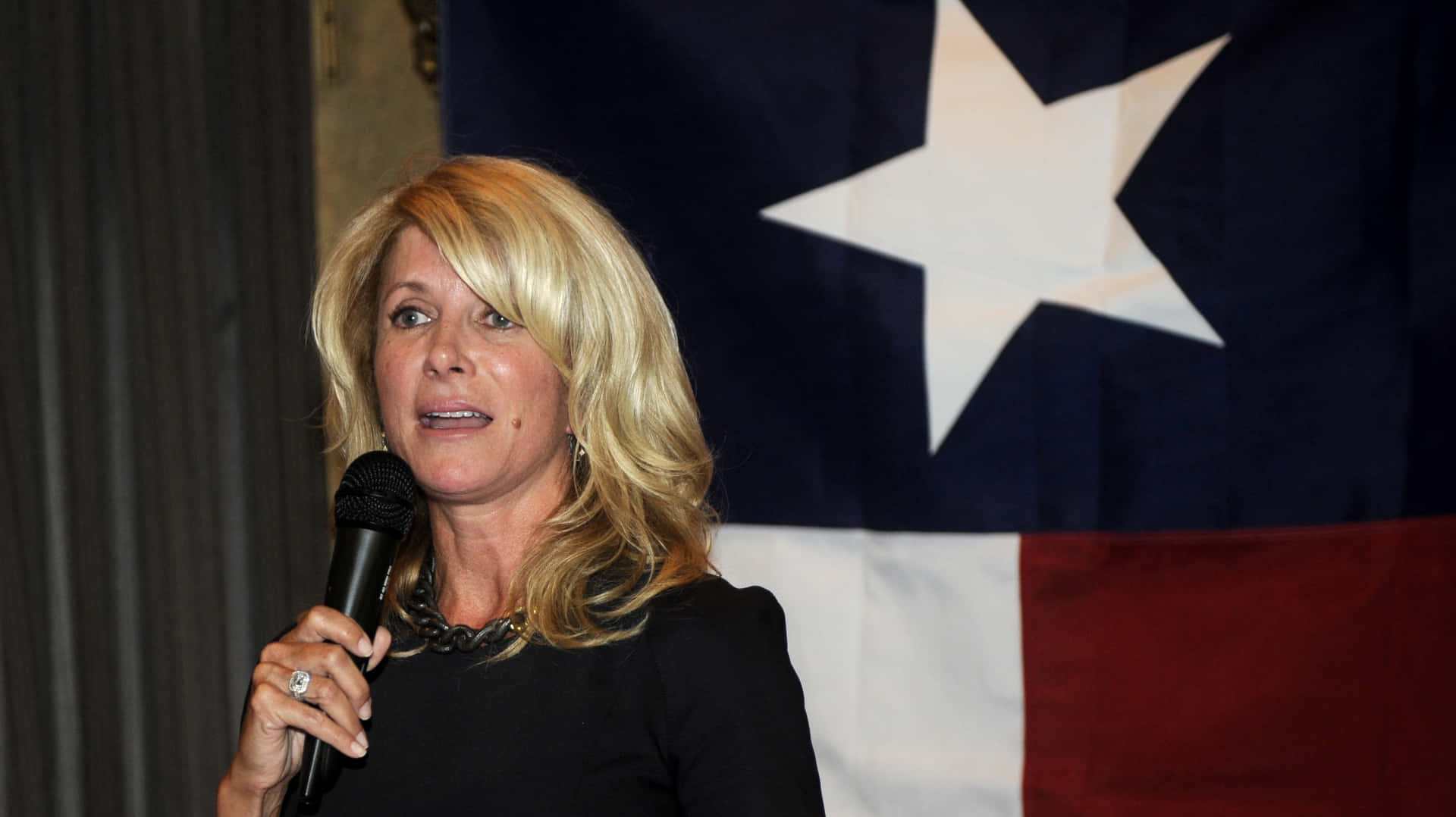 Wendy Davis On Campaign Trail During Texas Governor Race Background