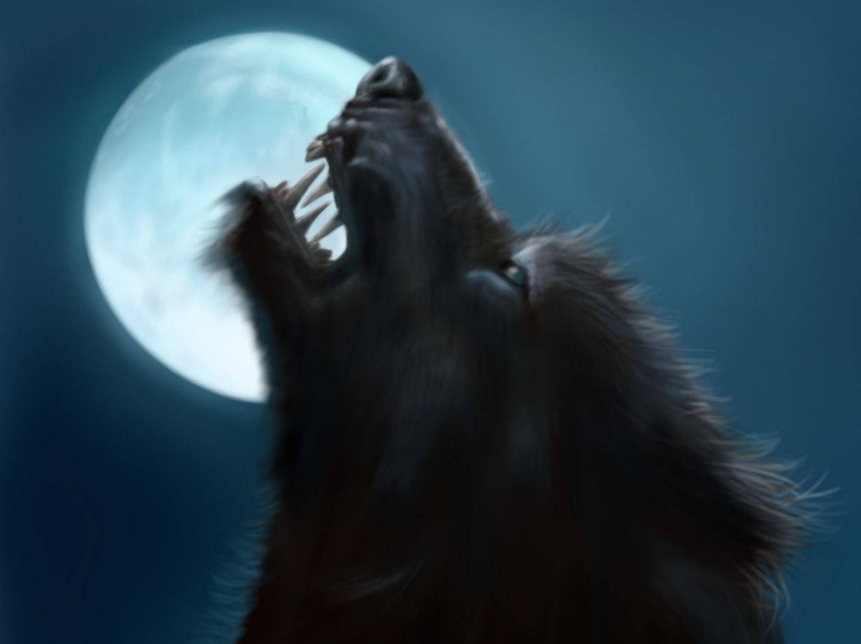 Werewolf Under Full Moon