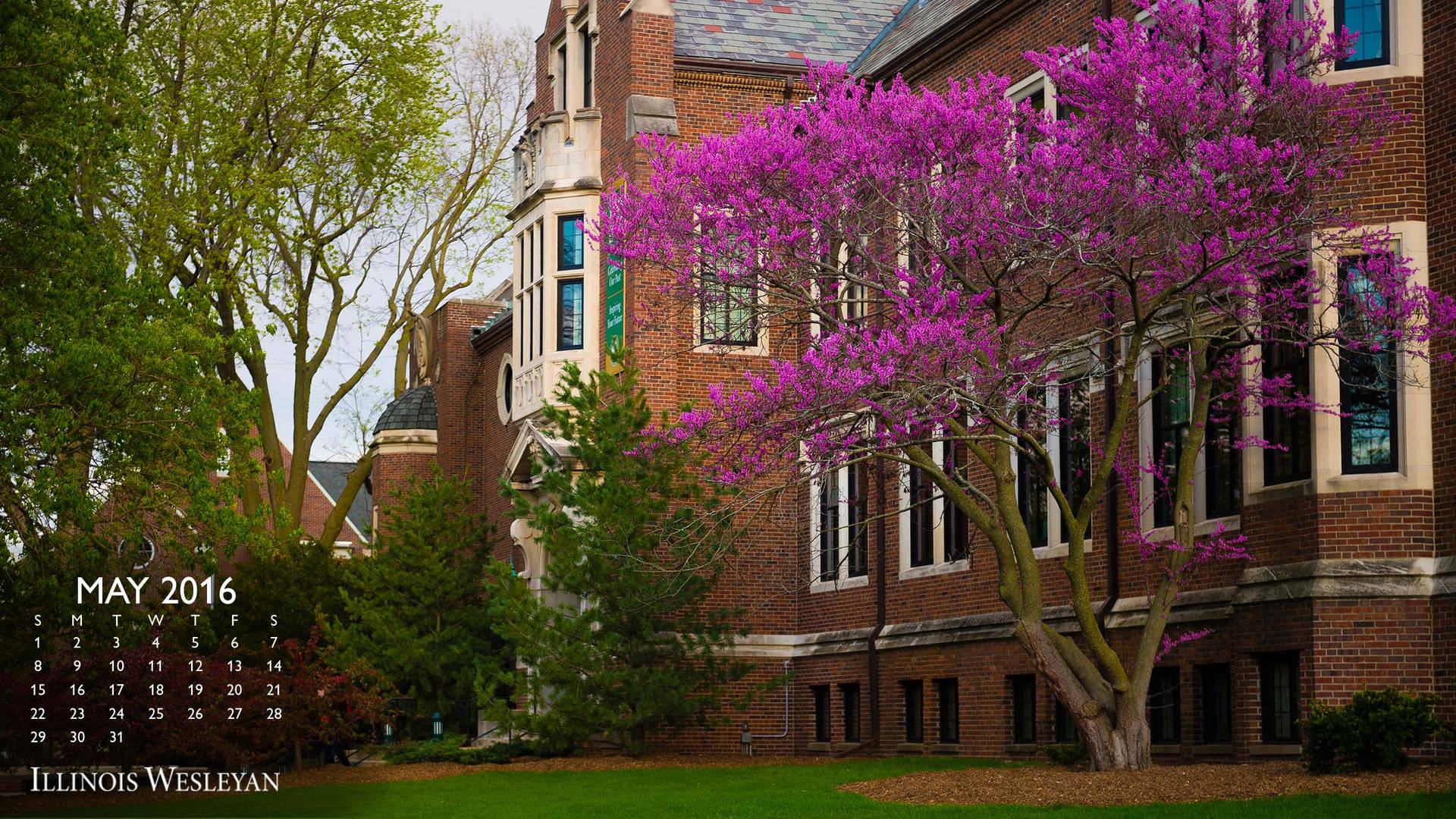 Wesleyan University May 2016 Calendar Background