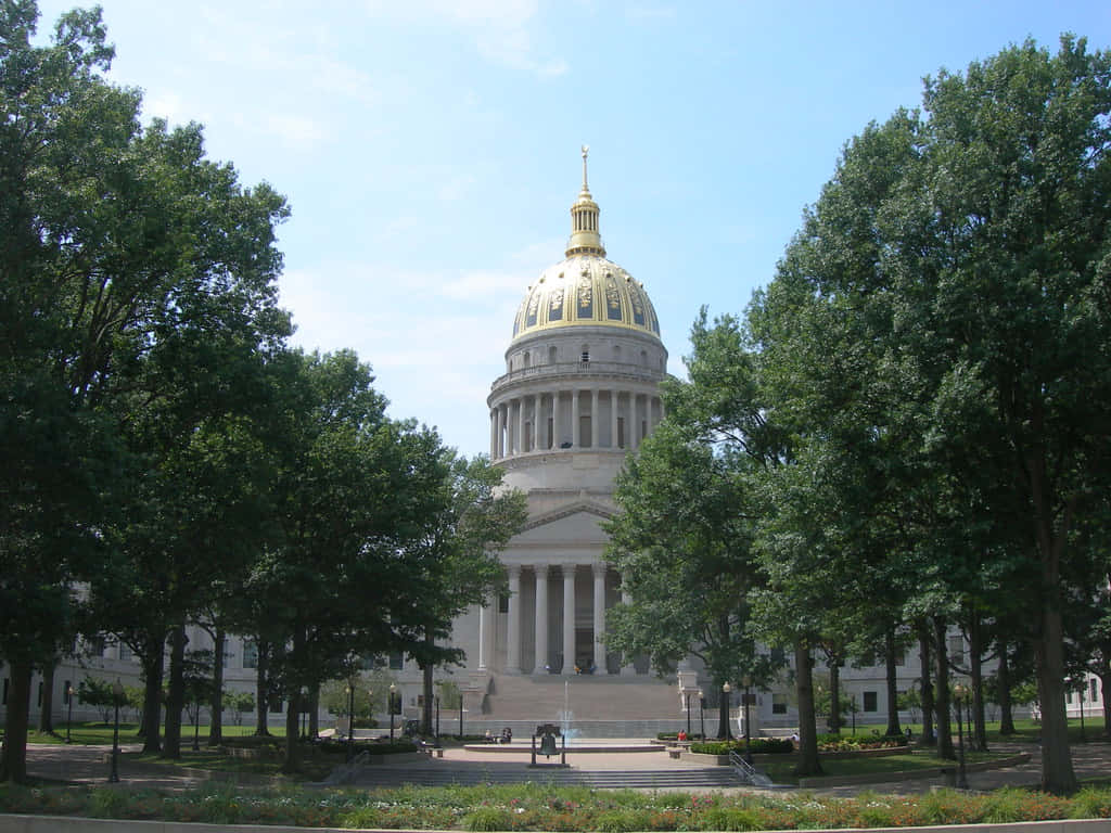 West Virginia And The People's Tree At The State's Capitol Background