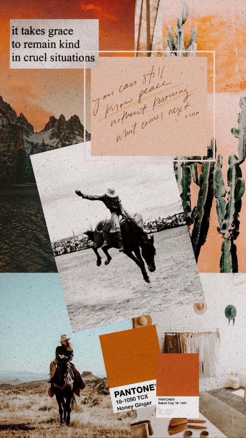 Western Cowboy Iphone 1024 X 1820 Background
