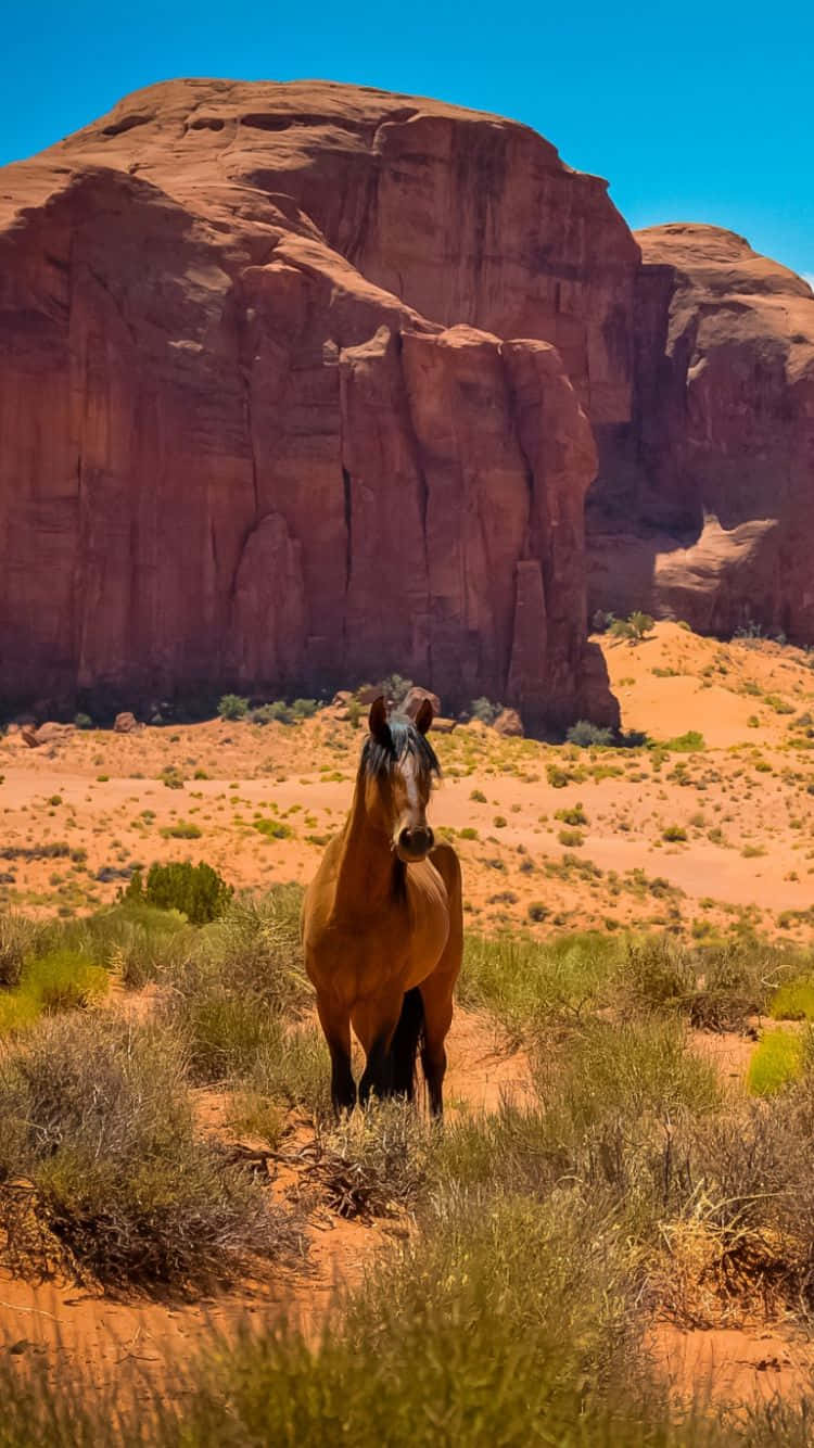 Western Cowboy Iphone 750 X 1334 Background