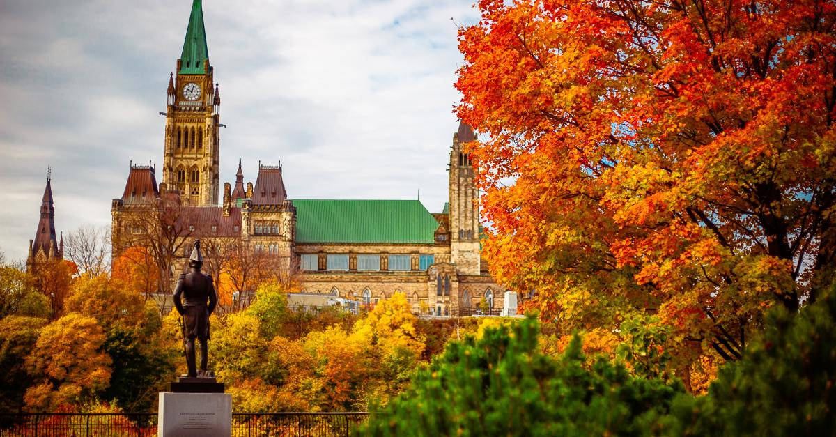 Western Red Cedar Trees In Ottawa Background