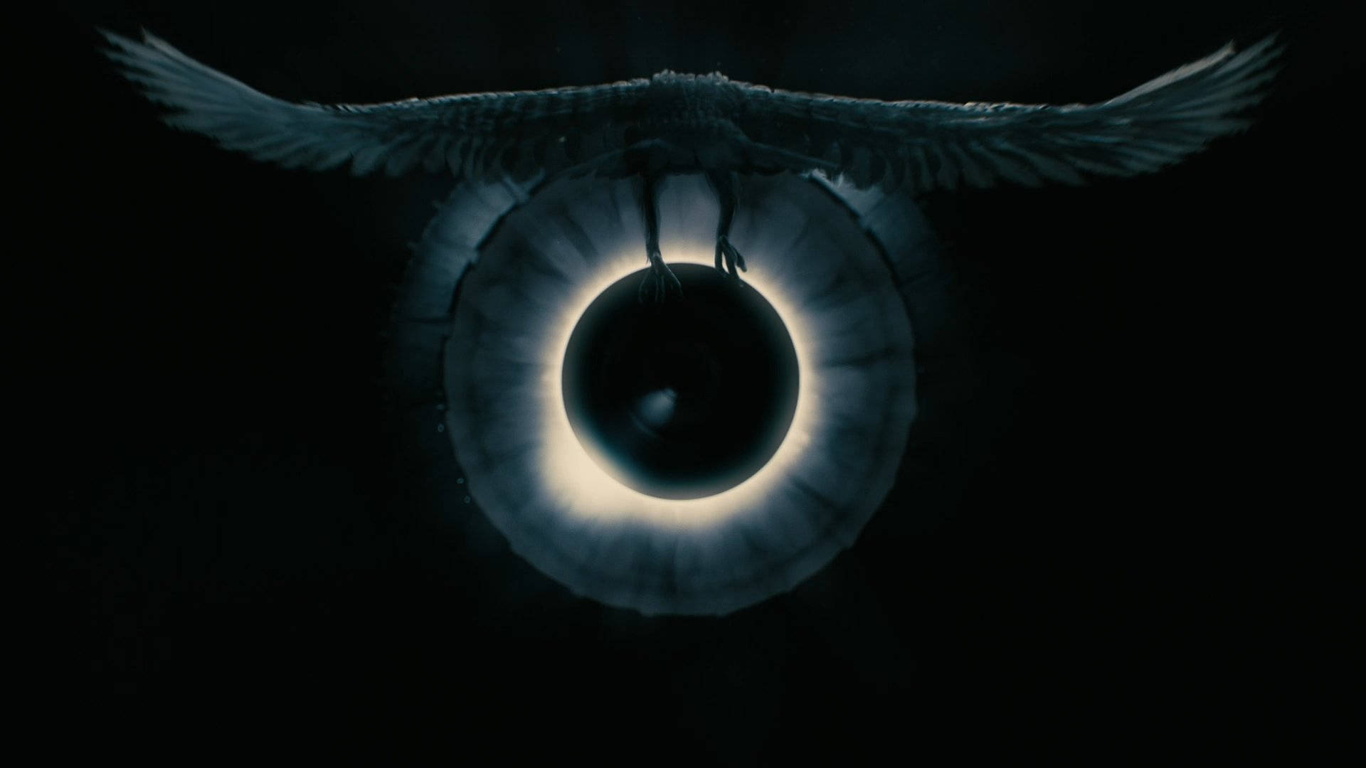 Westworld Hawk In Eclipse Background