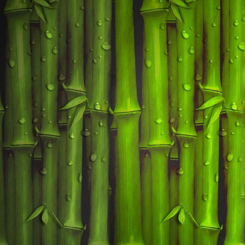 Wet Bamboo Stalks Art Iphone