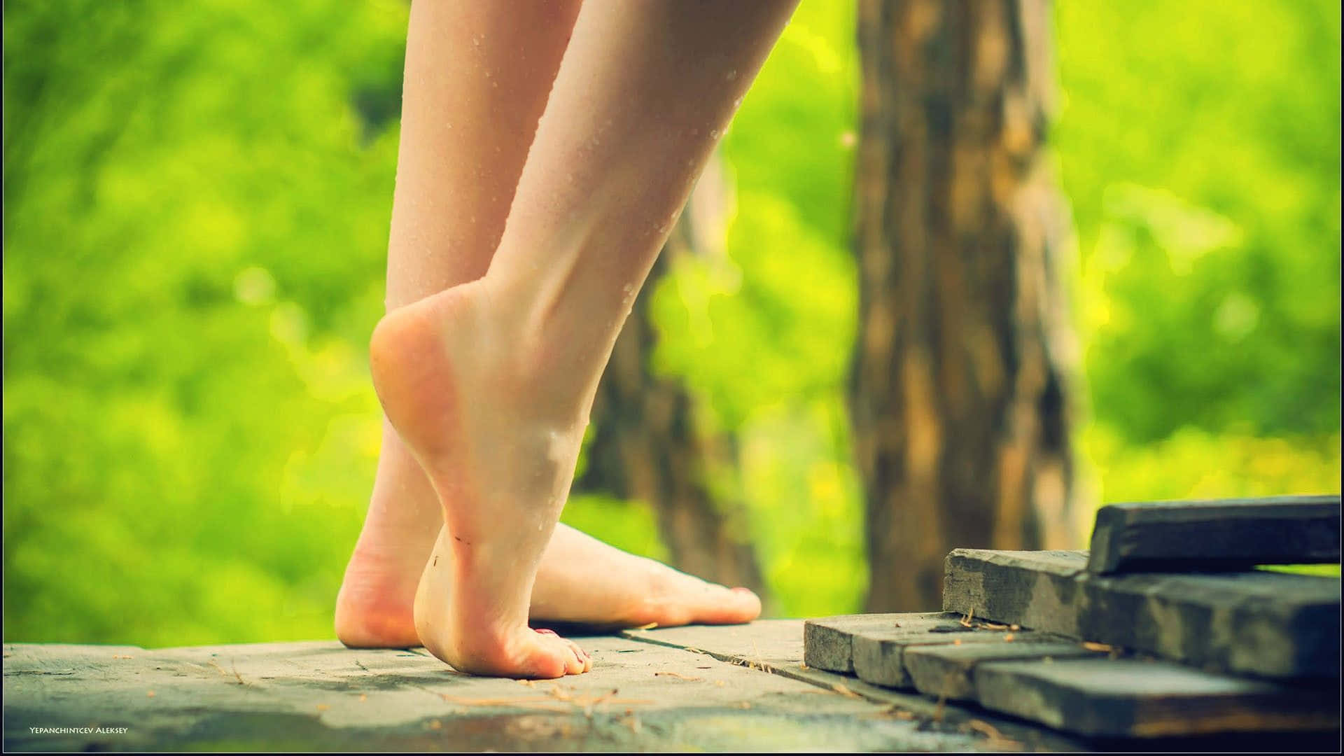 Wet Bare Girl Feet In Nature Background