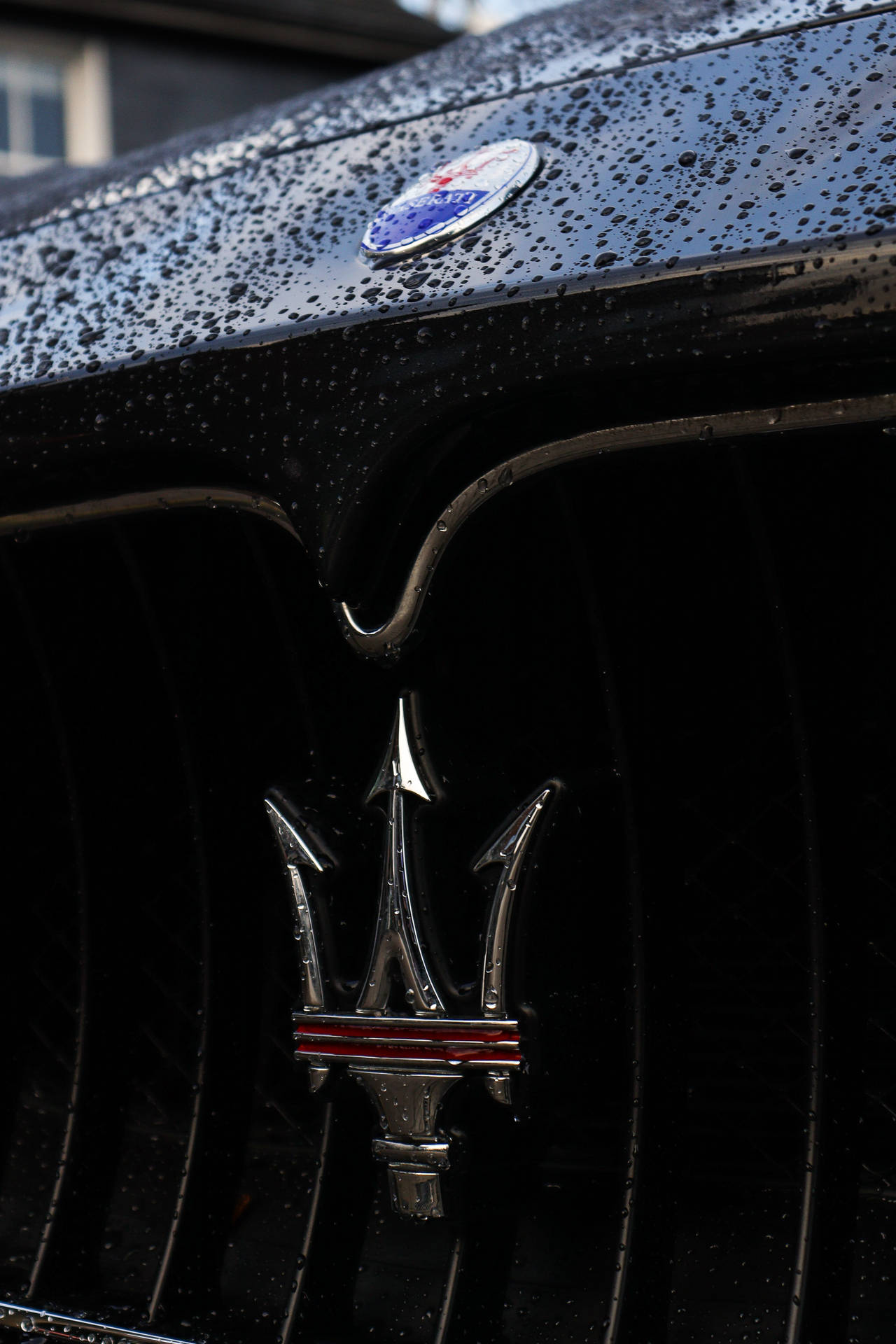 Wet Maserati Car Hood Background