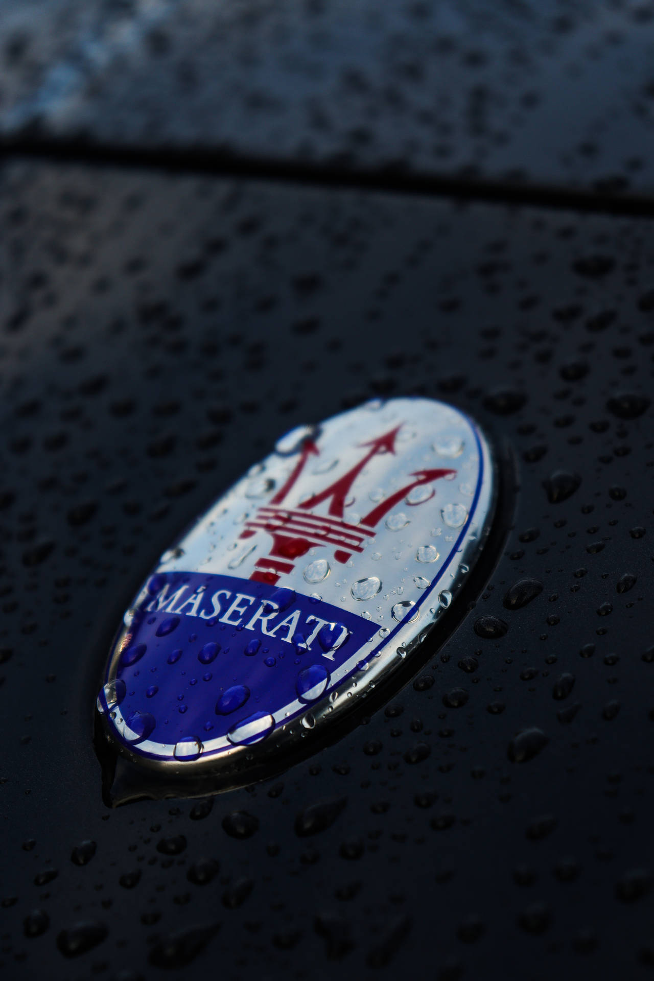 Wet Maserati Logo Background