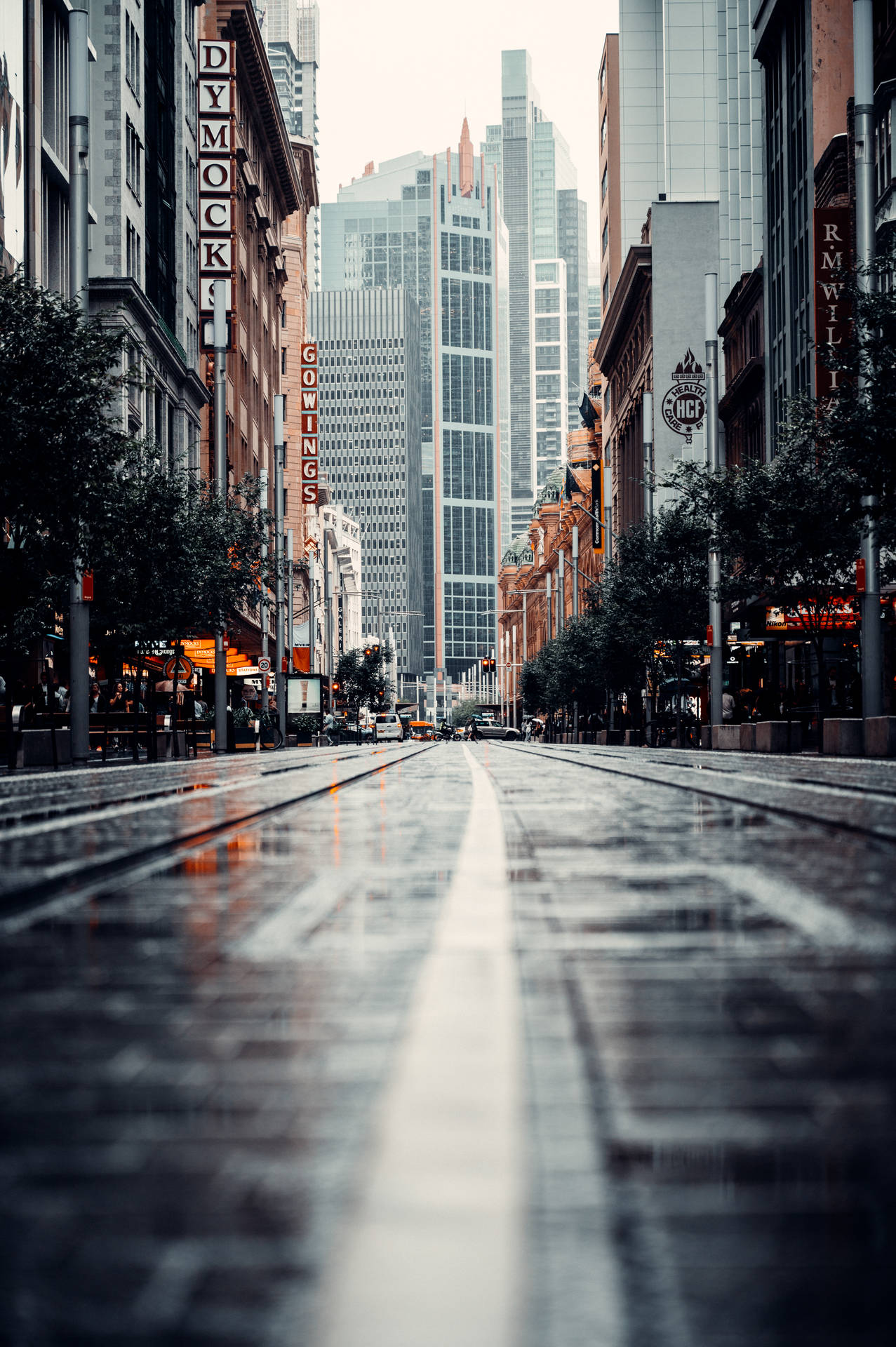Wet Road In The City Background