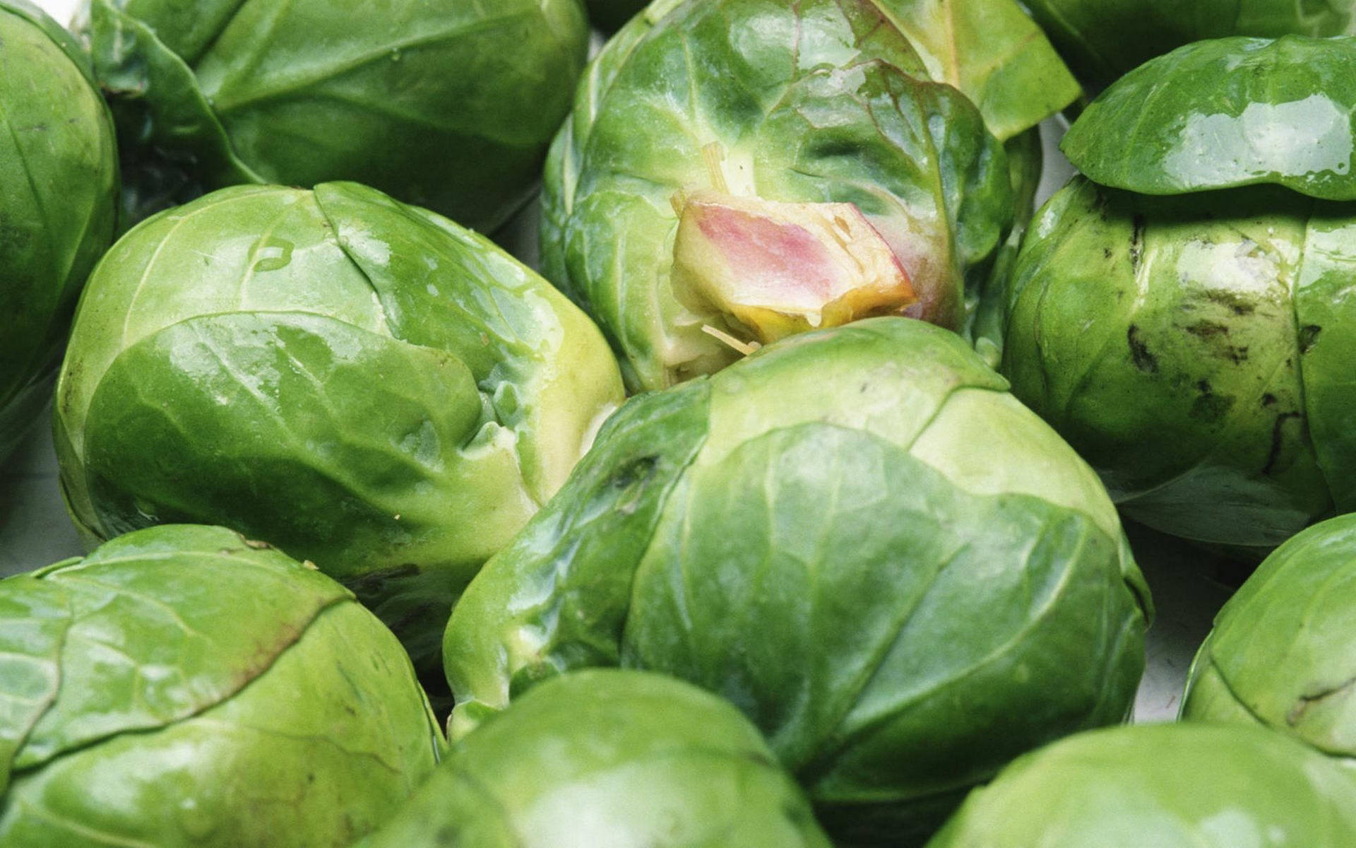 Wet Shiny Brussels Sprouts Vegetables