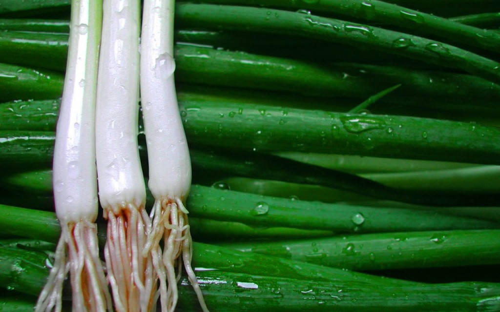 Wet Spring Onions Green Scallions Background