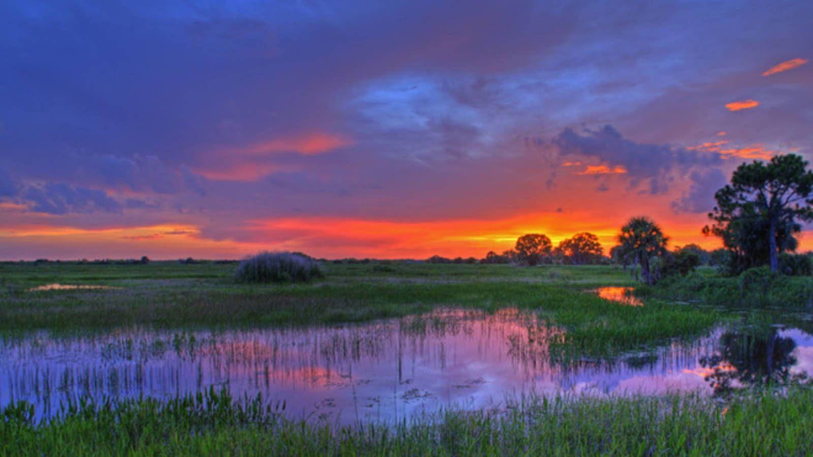 Wetlands Sunset Everglades National Park