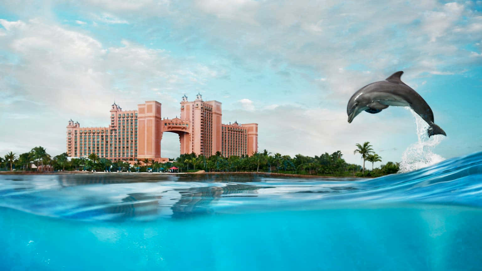 Whale In Atlantis Resort