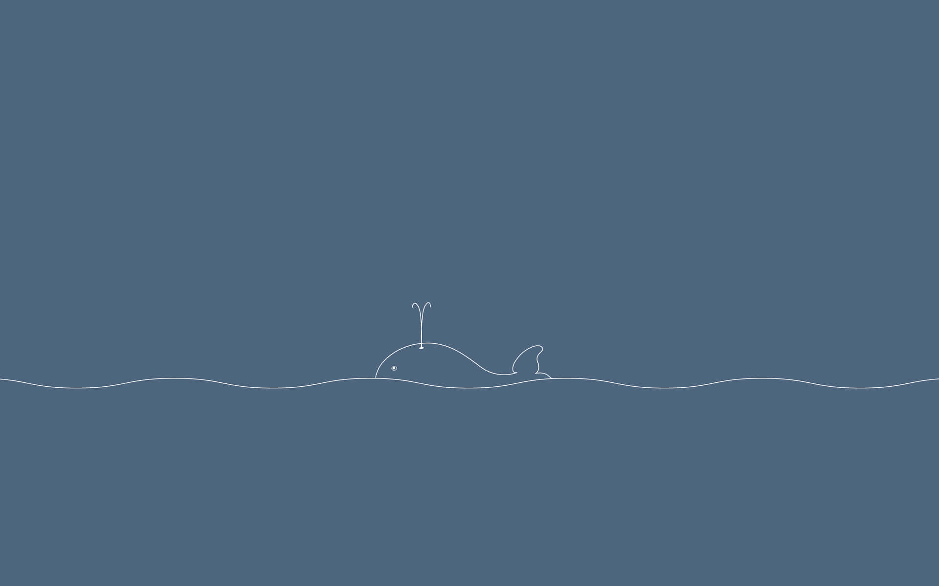 Whale Line Art Minimal Background Background