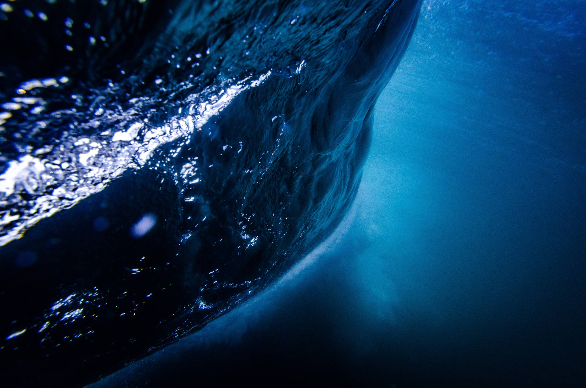 Whale Under Liquid Background