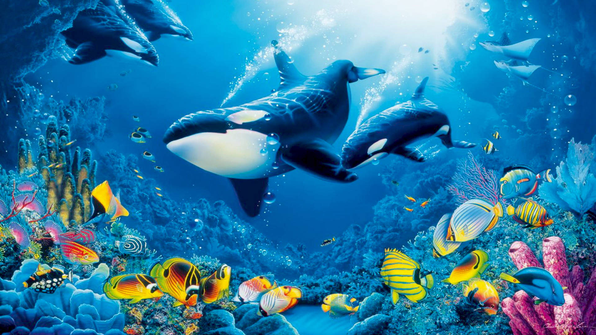 Whales And Fish Swimming Under Sea
