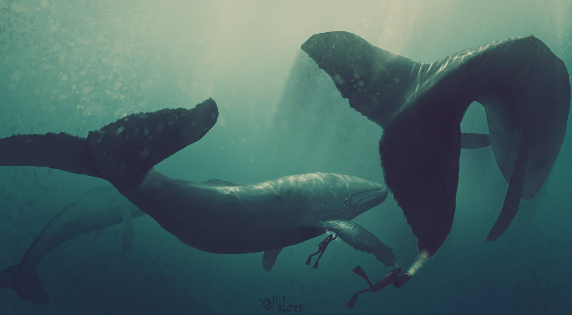 Whales With Divers Underwater Background