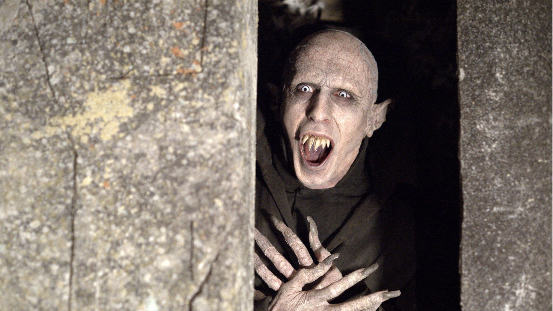 What We Do In The Shadows Shocked Petyr Background