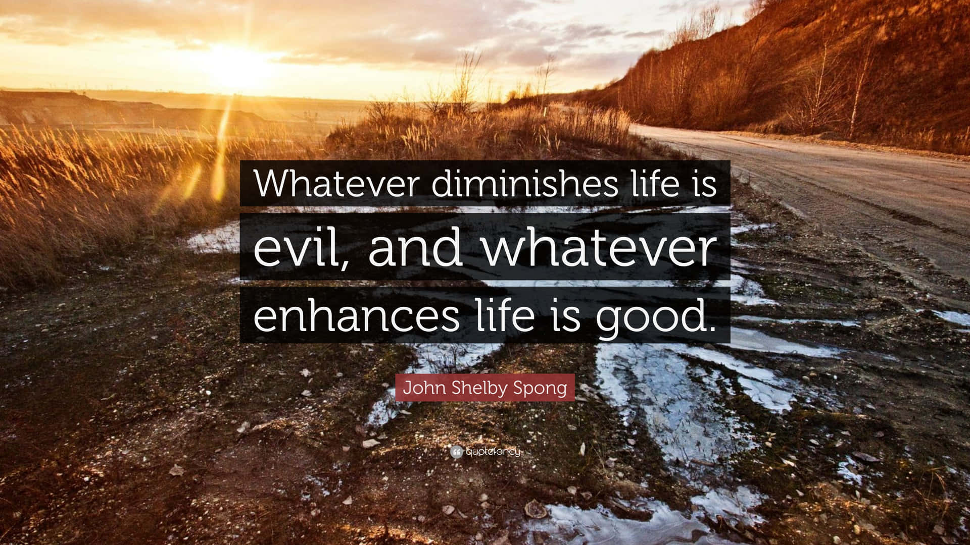 Whatever Diminishes Life Is Evil And Whatever Enhances Life Is Good