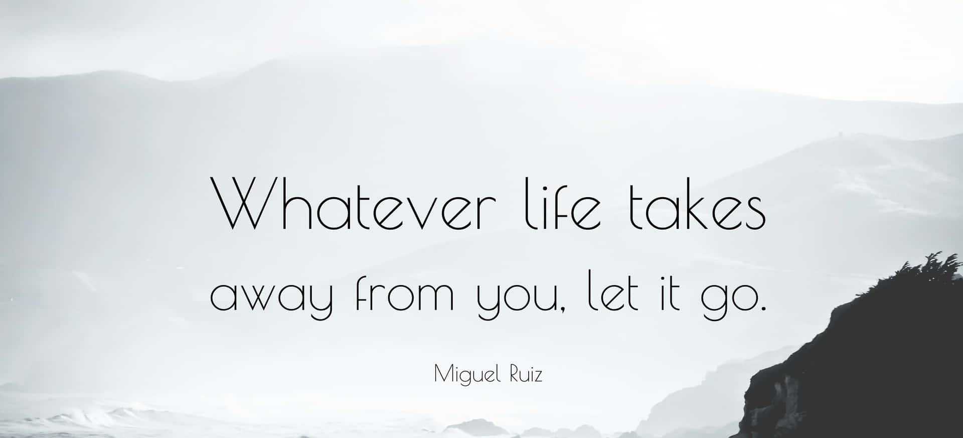 Whatever Life Takes Let It Go