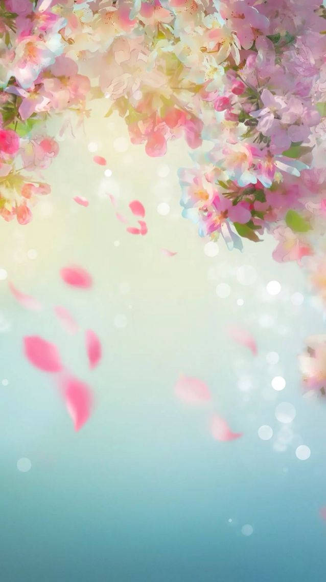 Whatsapp Chat Falling Cherry Blossom Petals Background