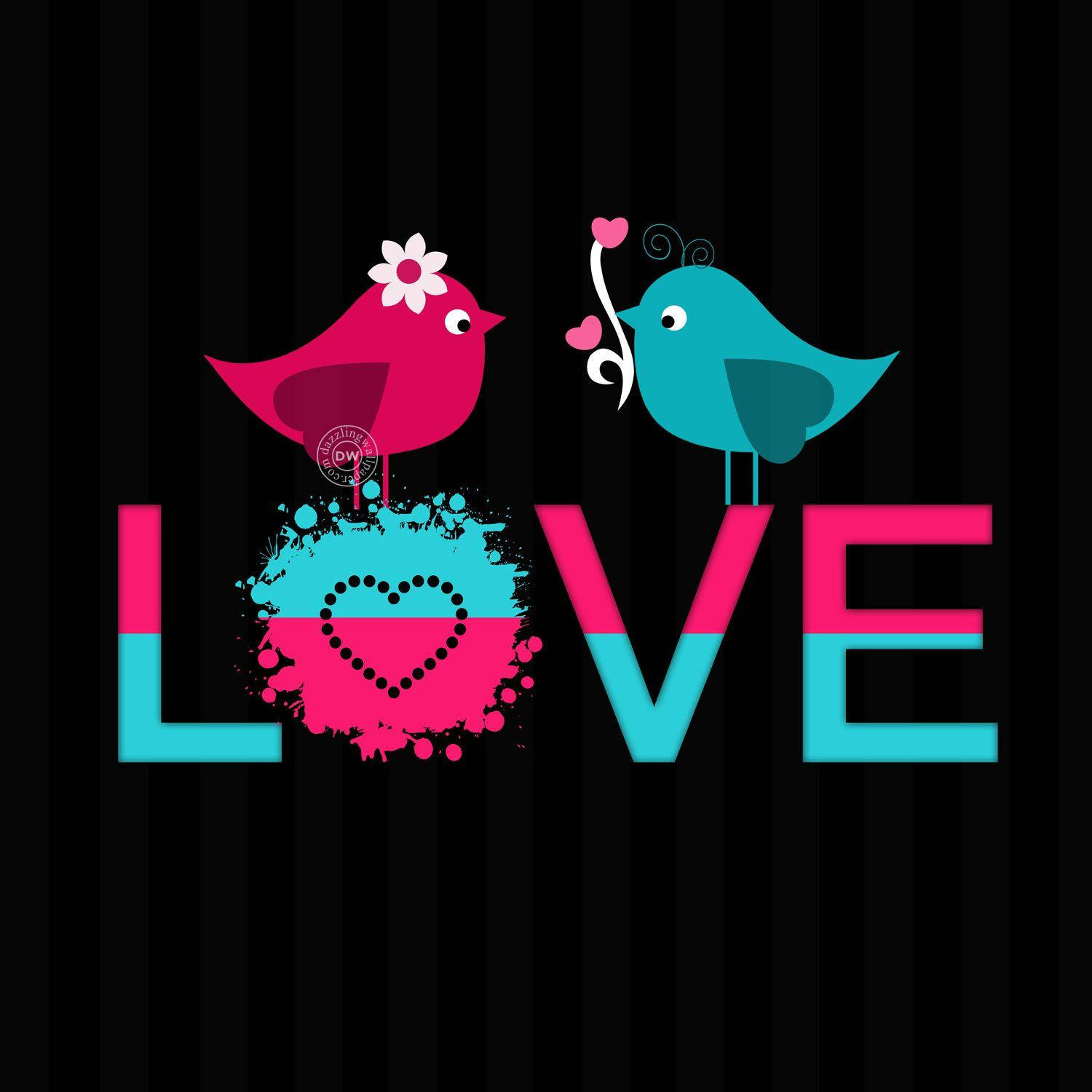 Whatsapp Dp Love Birds Background