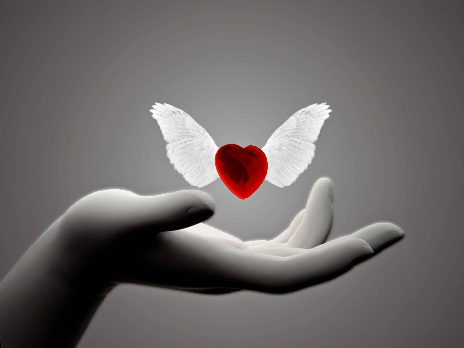 Whatsapp Dp Winged-red Heart Background
