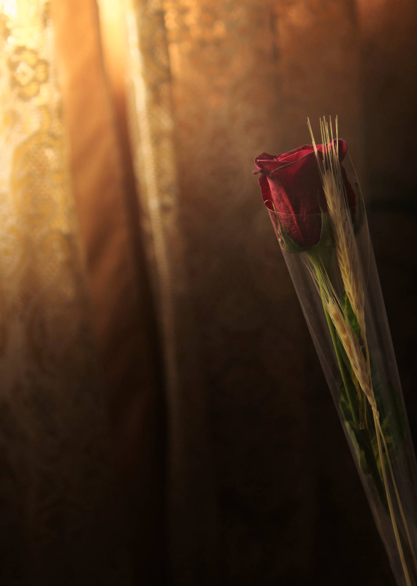 Wheat And Red Rose Flower Background