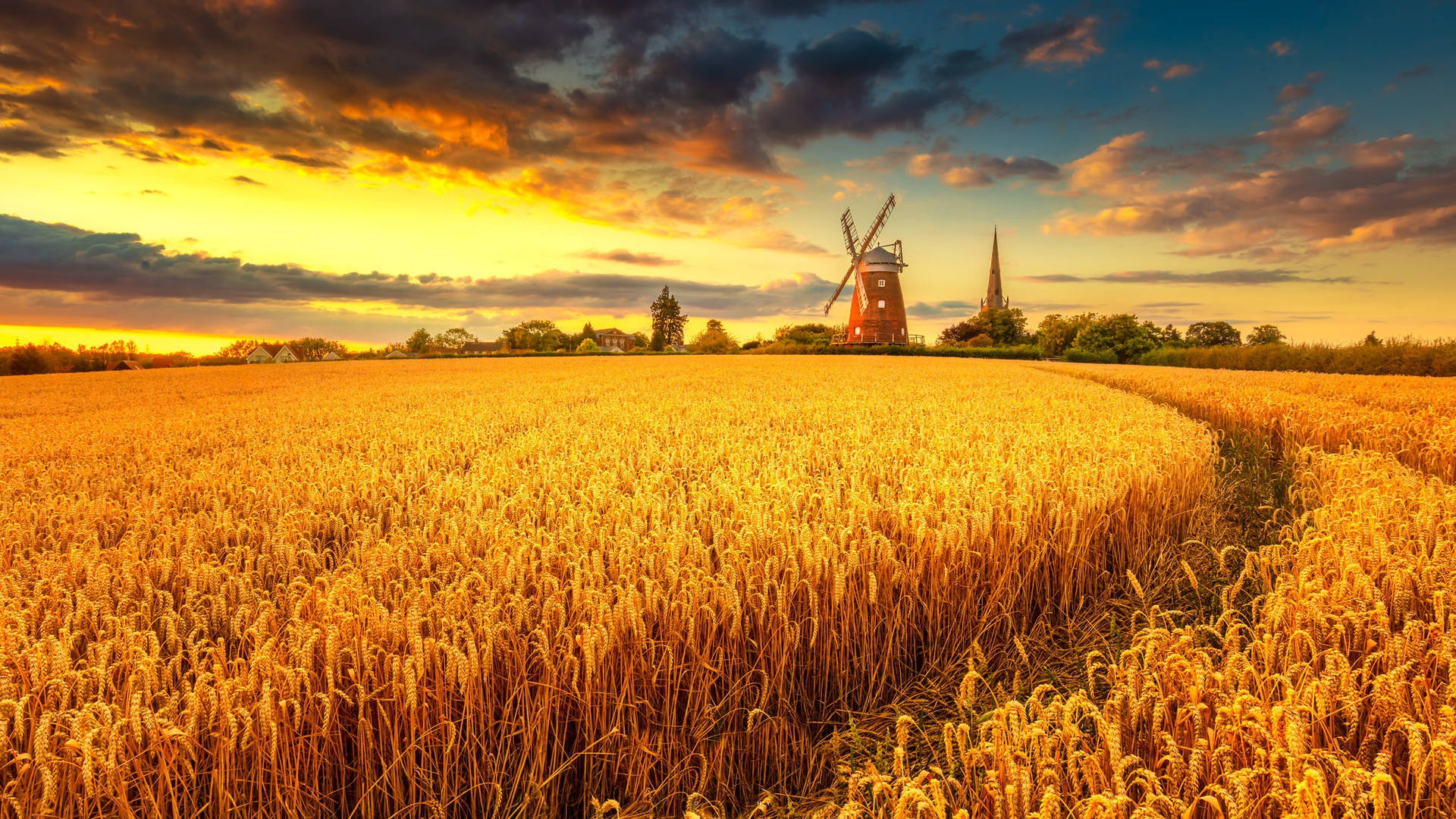 Wheat Field With Windmill