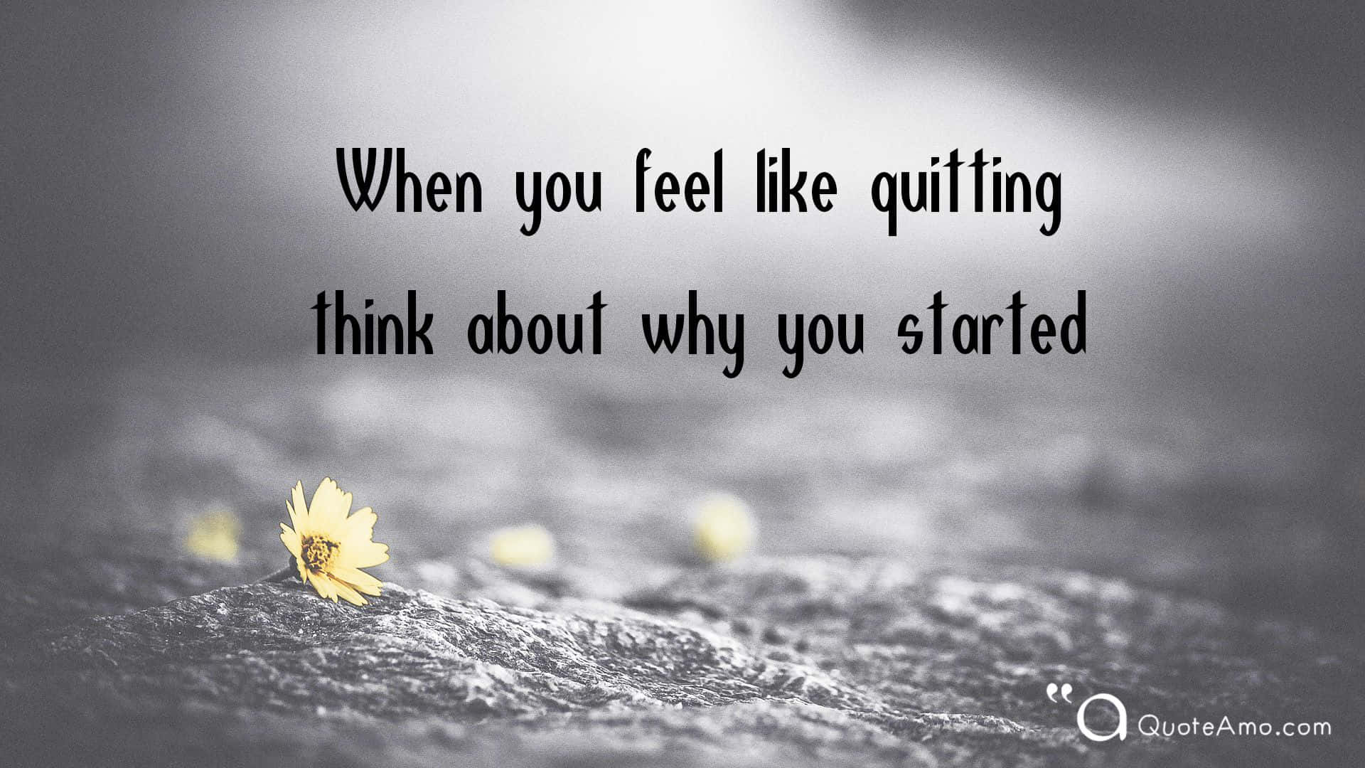 When You Feel Like Quitting Think About Why You Started Background
