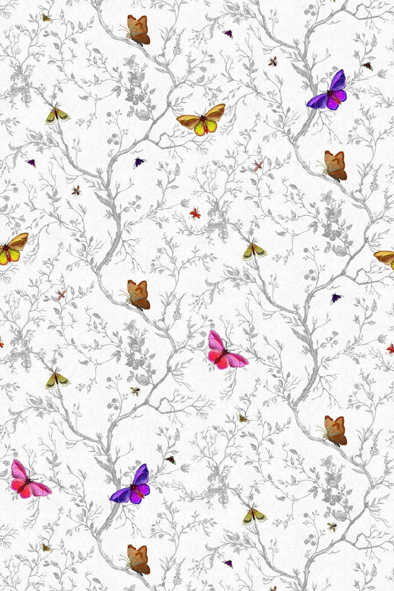 Whimsical Butterflies In White Background