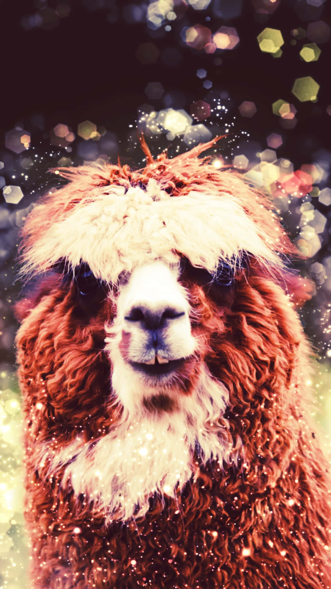 Whimsical Llama Portrait Background