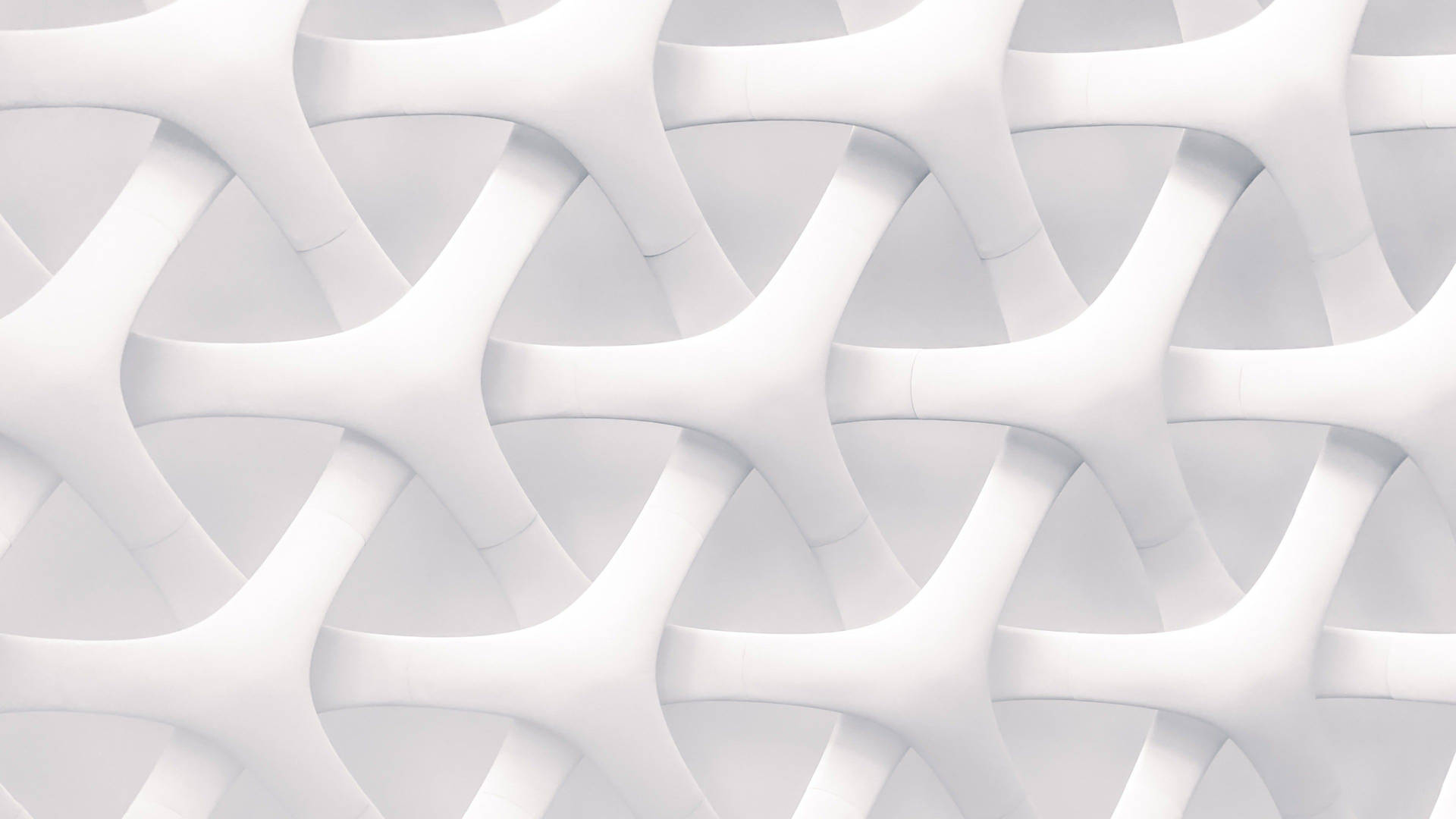 White Abstract 3d Net