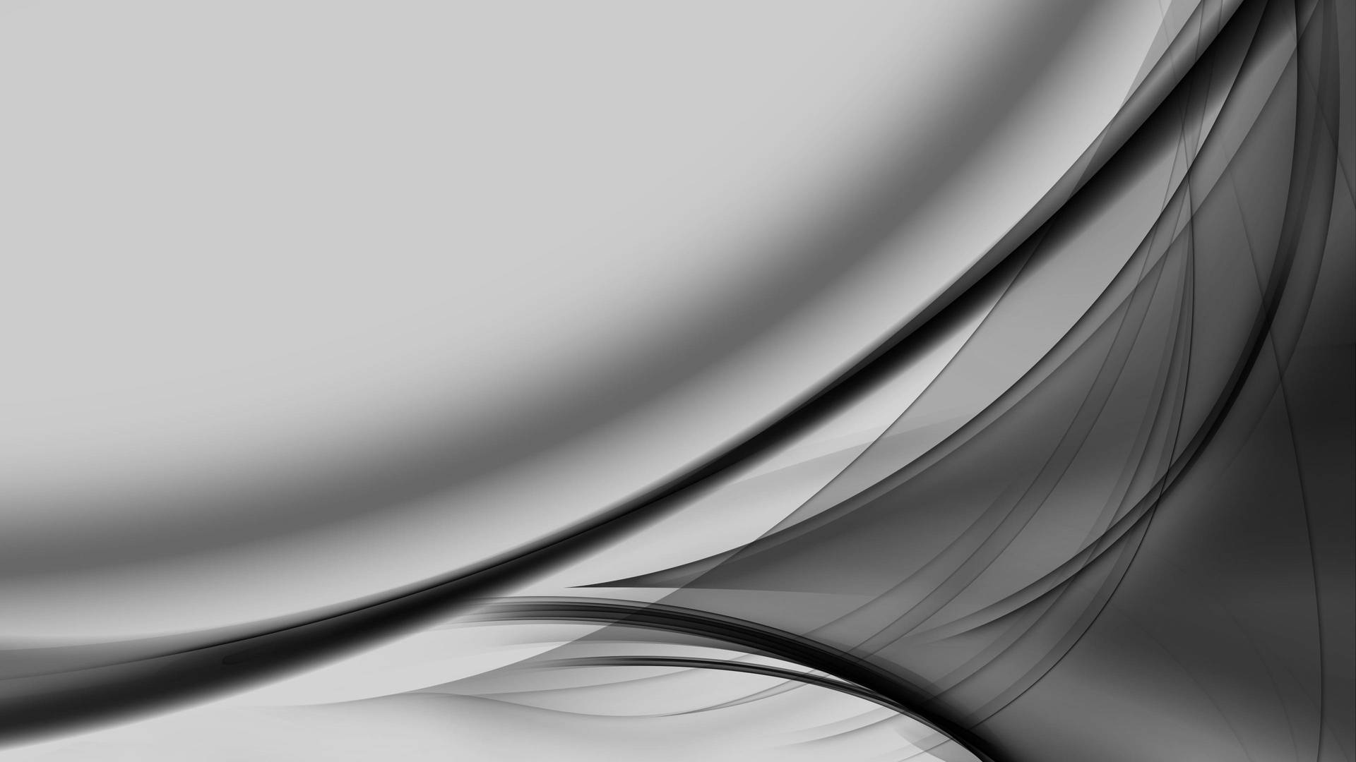 White Abstract Wave Art Background
