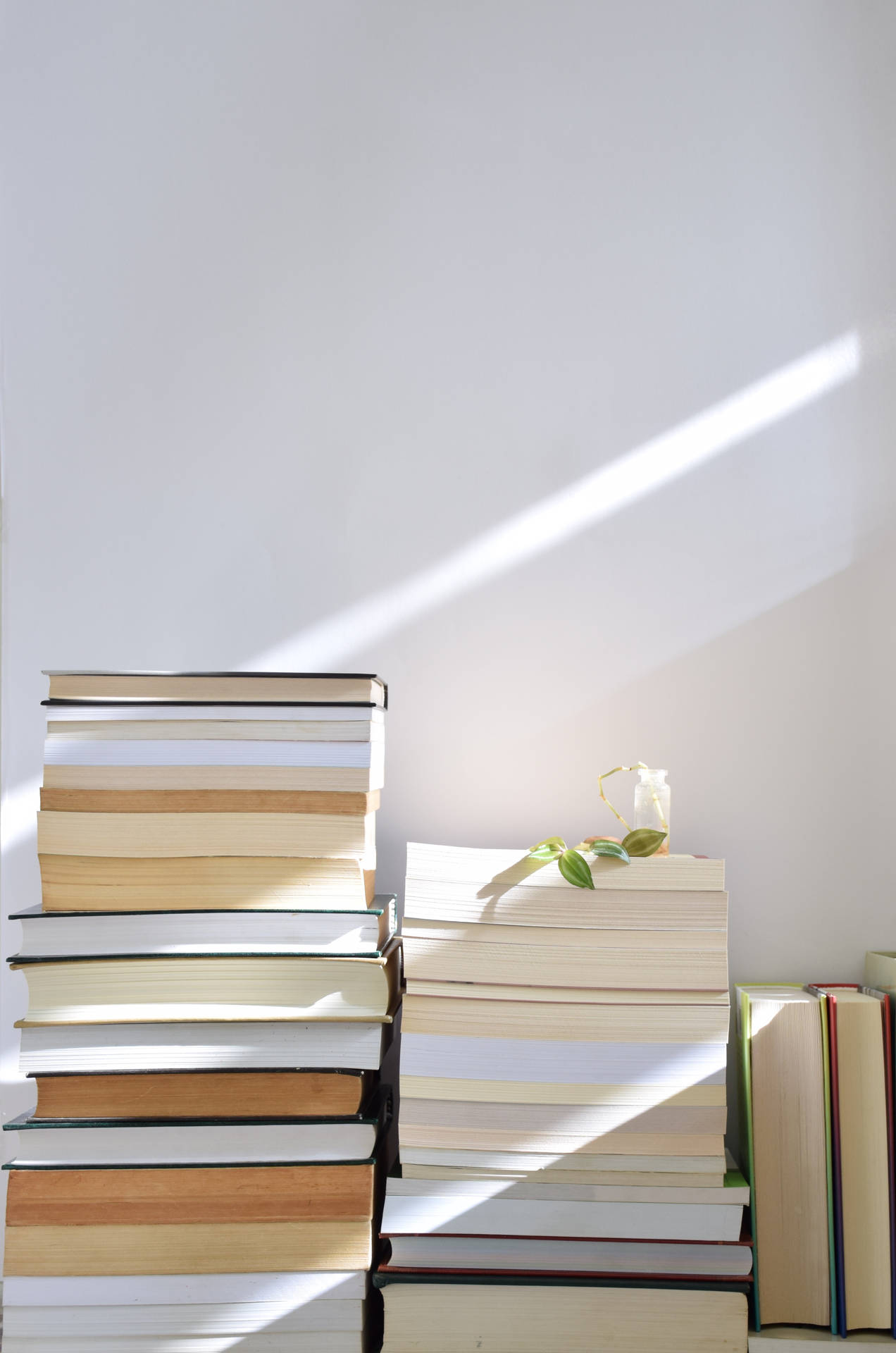 White Aesthetic Book Collection Background