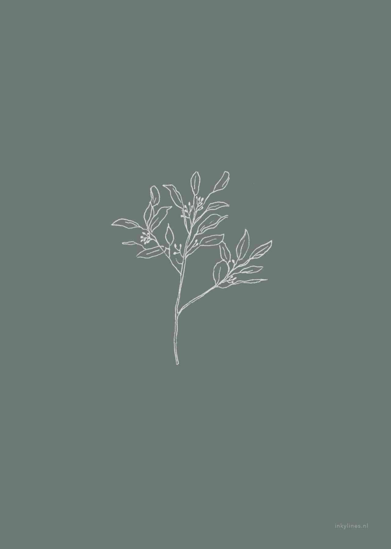 White Aesthetic Cute Plant Background