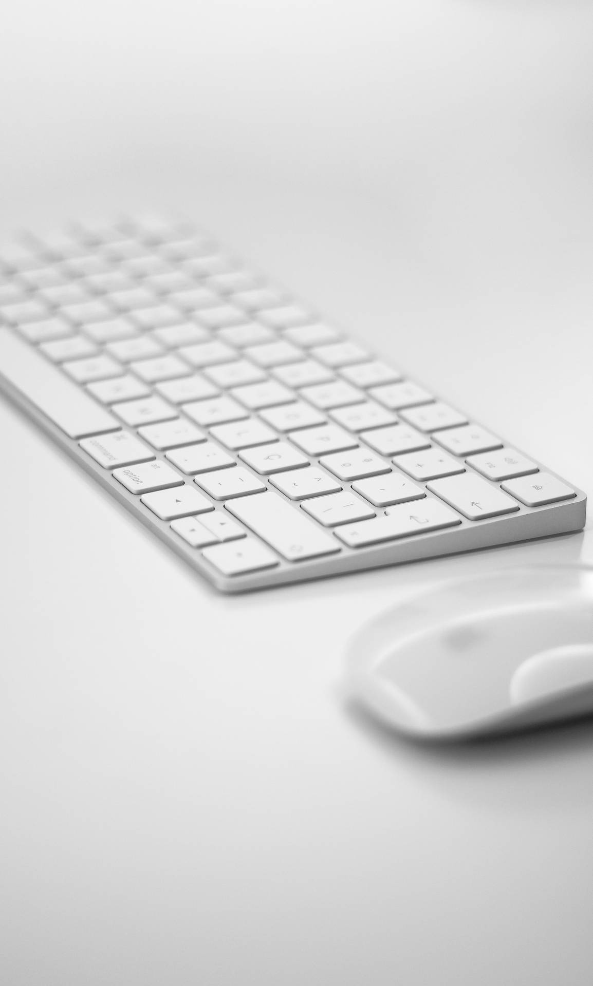 White Aesthetic Keyboard And Mouse Background