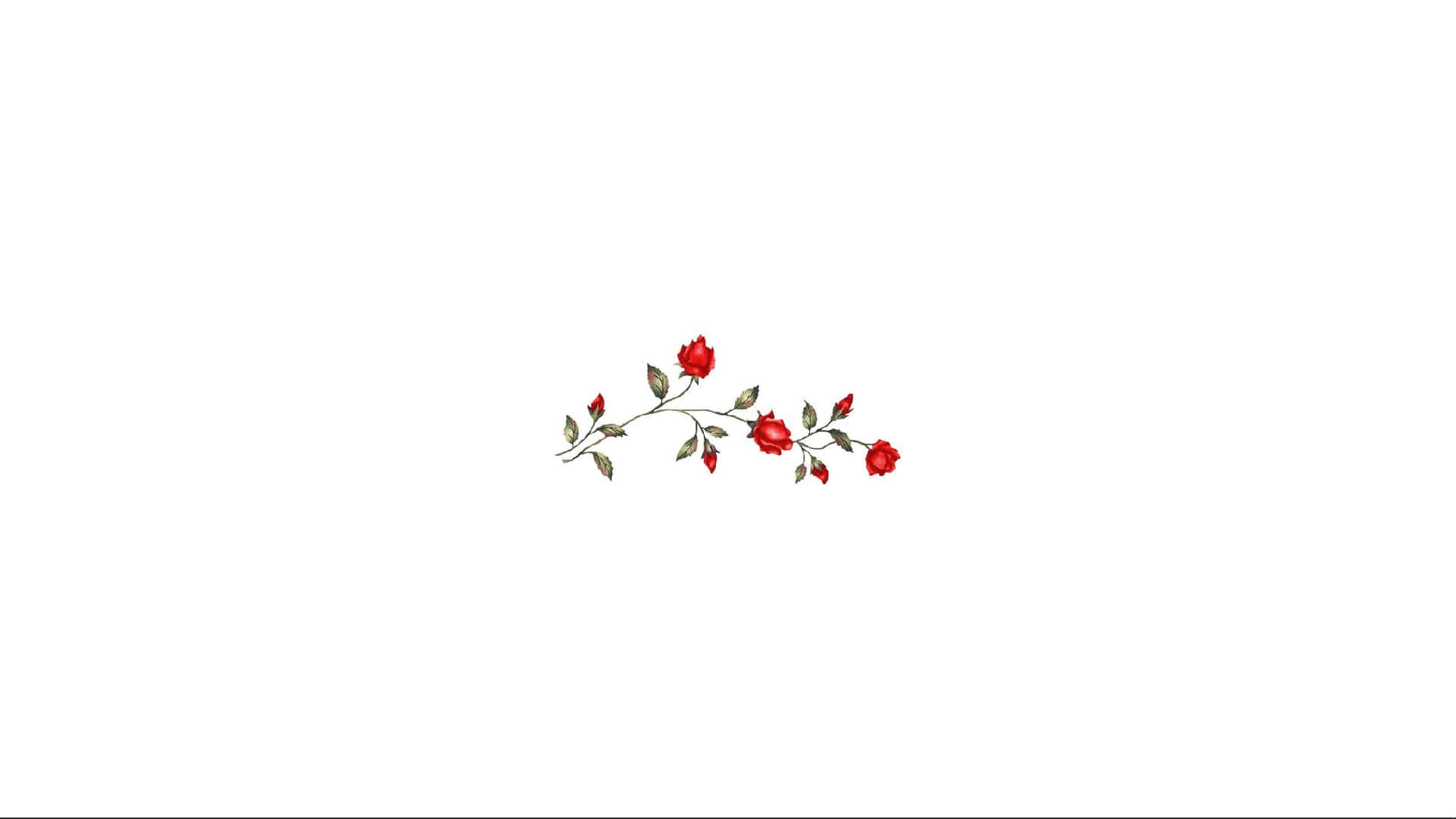White Aesthetic Laptop And Red Flower