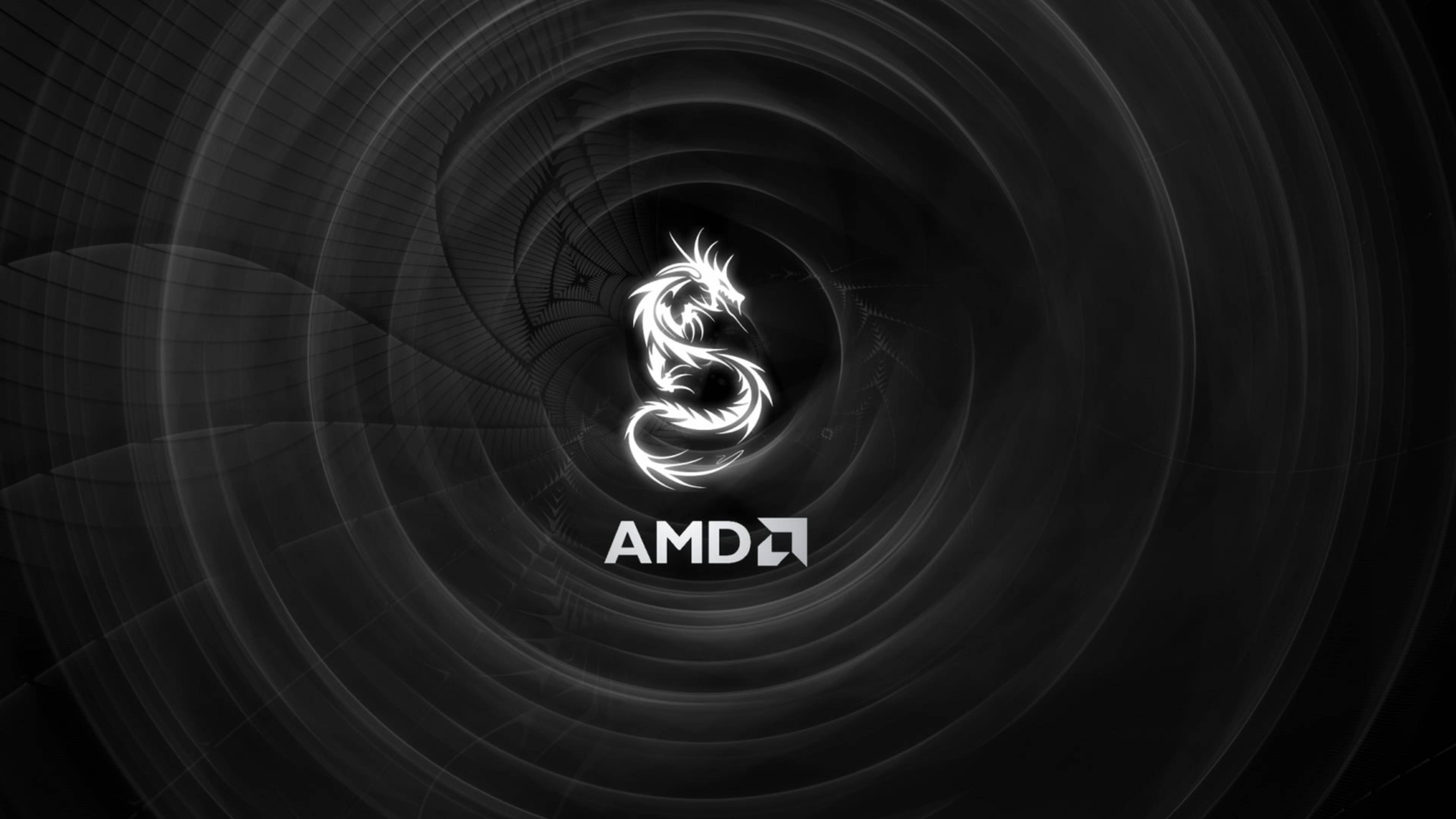 White Amd 4k Dragon Background