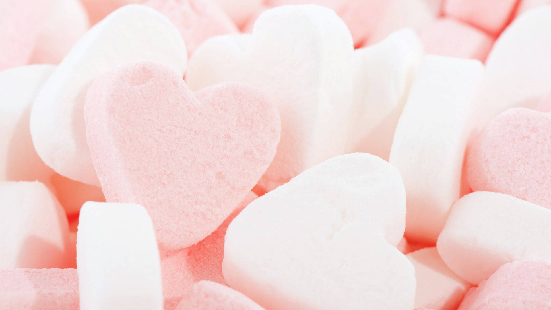 White And Baby Pink Hearts Background