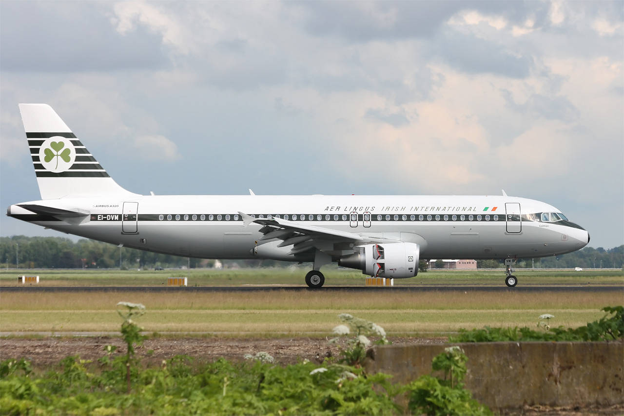 White And Black Aer Lingus Airplane Background