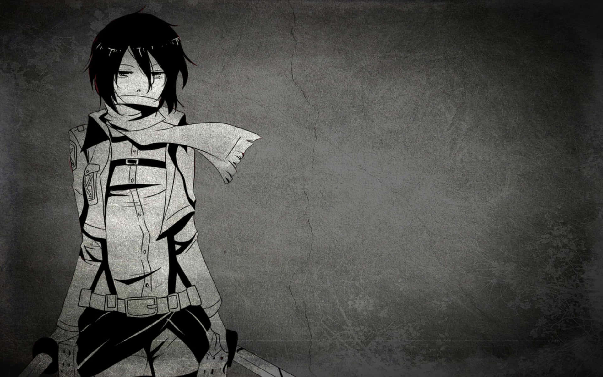 White And Black Anime Pfp Mikasa