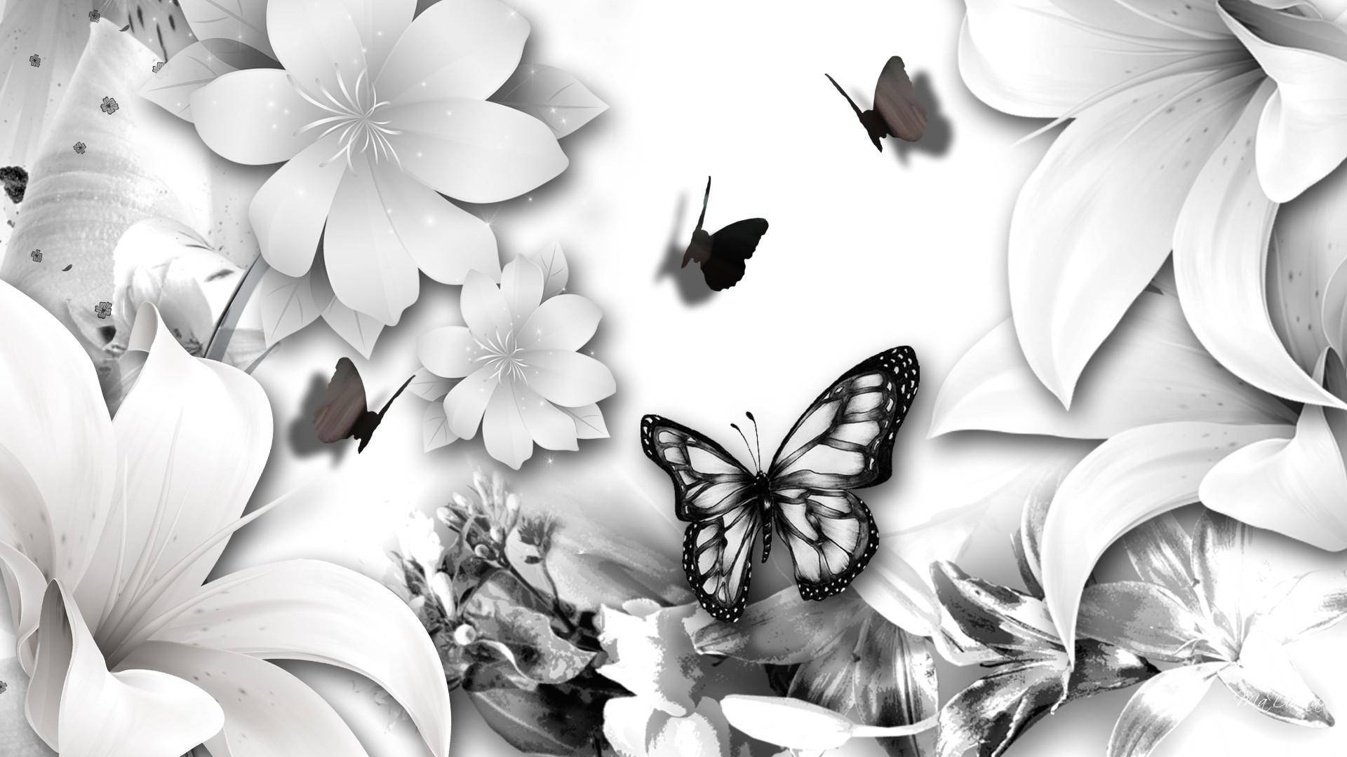 White And Black Butterfly Graphics Background