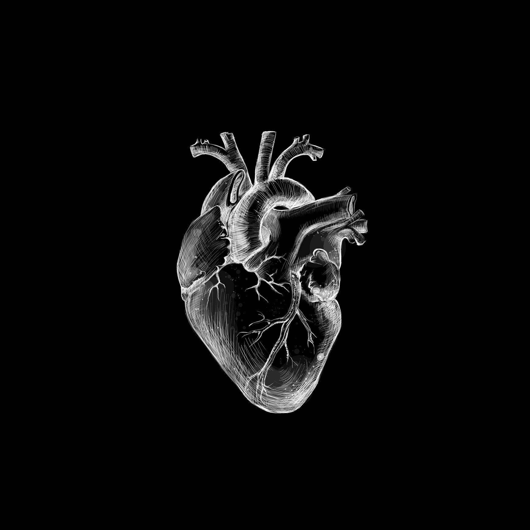 White And Black Heart Aesthetic Anatomy Background