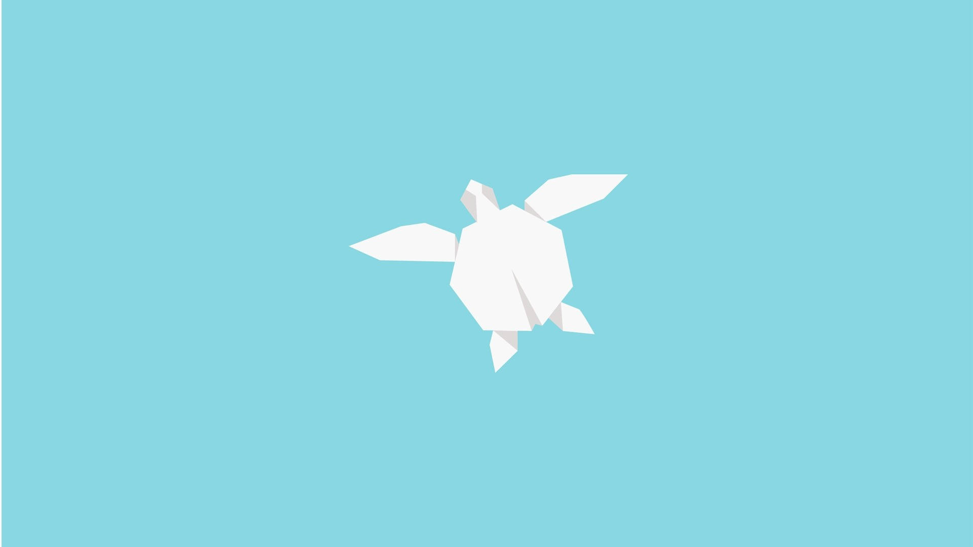 White And Blue Cartoon Turtle Background