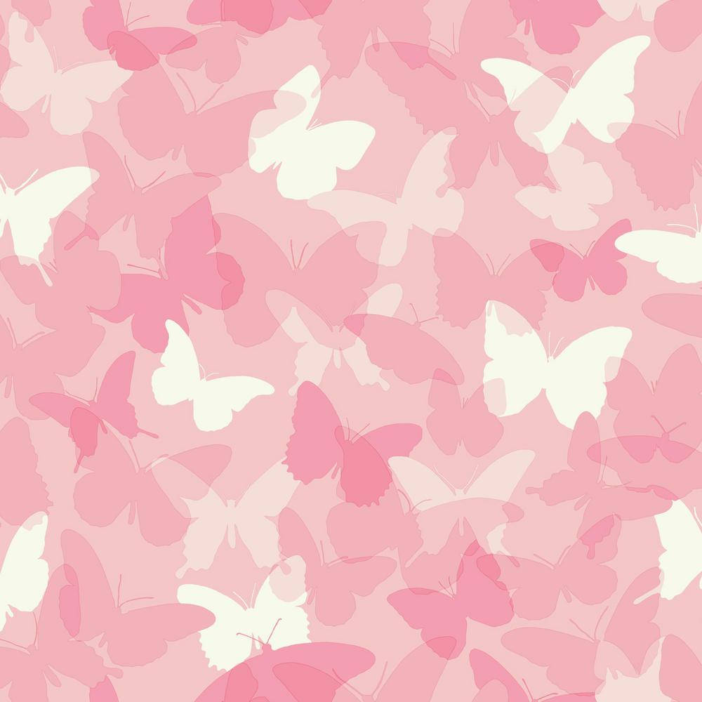 White And Cute Pink Butterfly Drawings Background