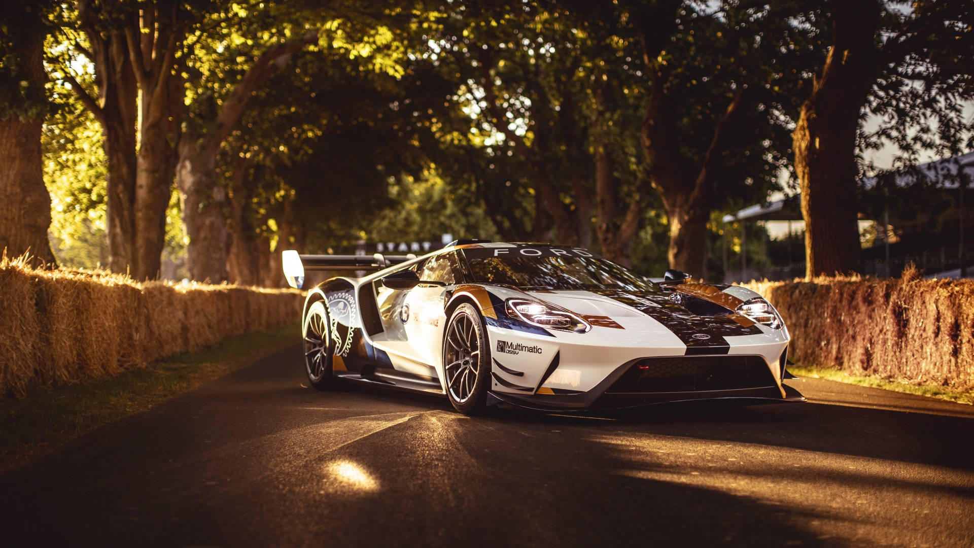 White And Gold Ford Gt