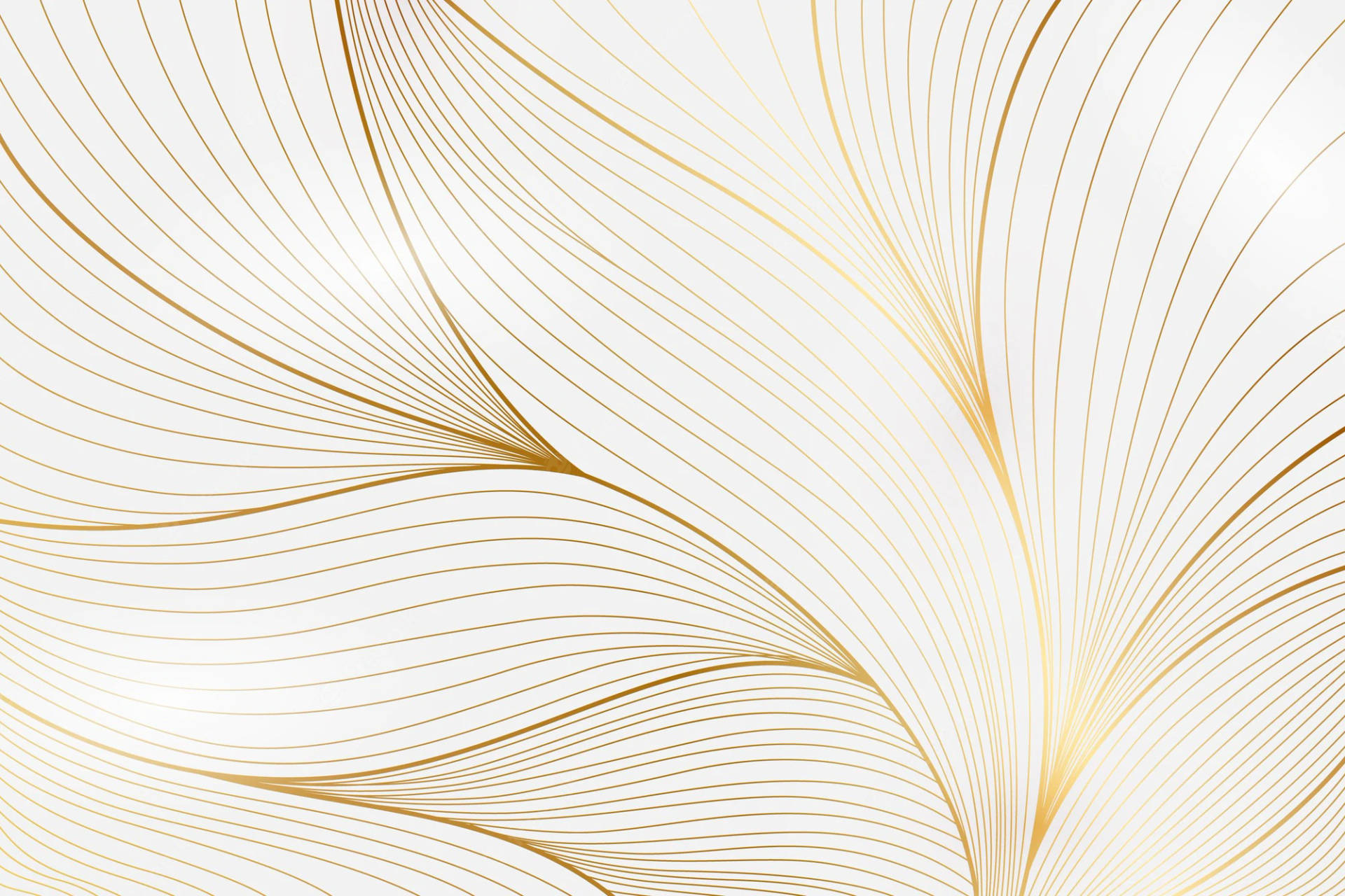 White And Gold Leaves Background
